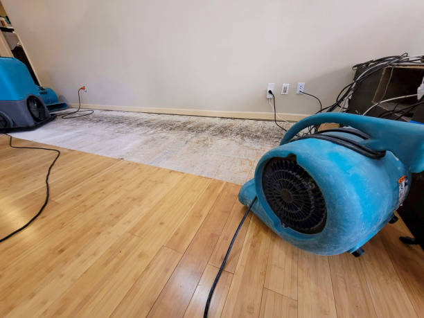Professional Water Extraction technician working in Cannon Falls, MN